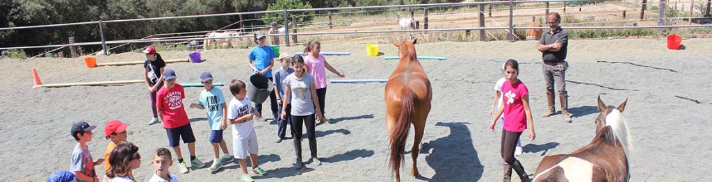 cavalls i educacio social (2)